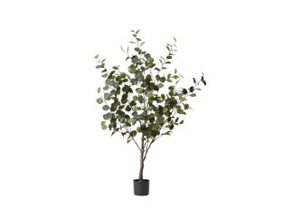 Eucalyptus Potted Tree Green - 80cm x 80cm x 145cm color Green