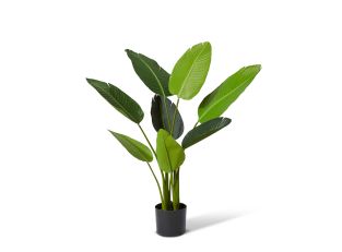 Bird of Paradise Potted Plant Green - 78cm x 78cm x 122cm color Green